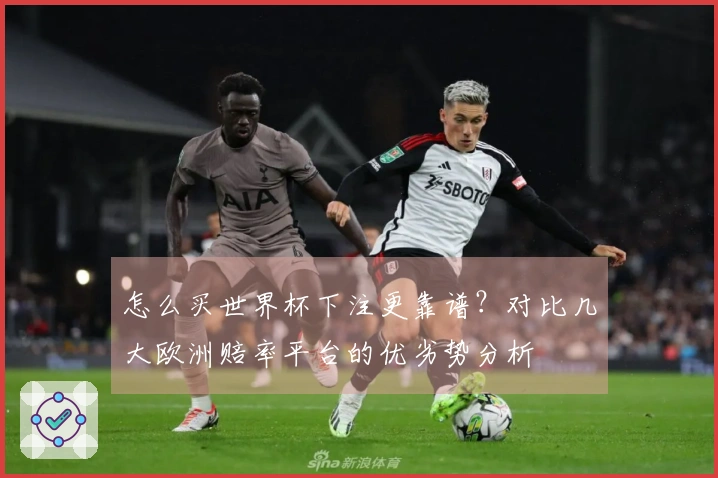 怎么买世界杯下注更靠谱？对比几大欧洲赔率平台的优劣势分析