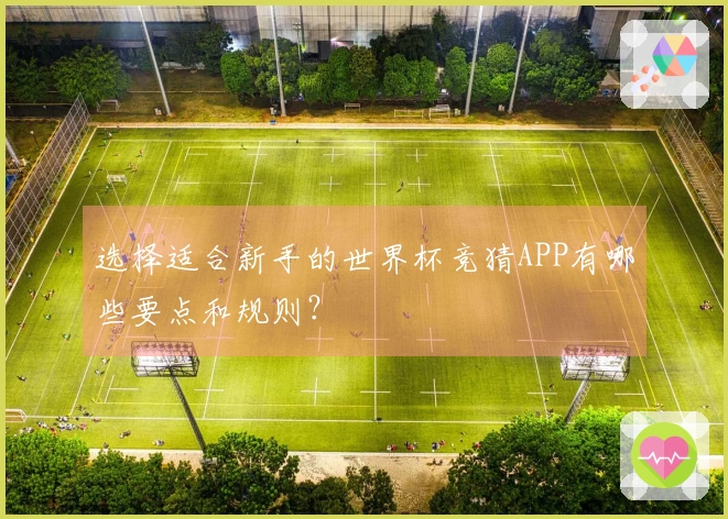 选择适合新手的世界杯竞猜APP有哪些要点和规则？