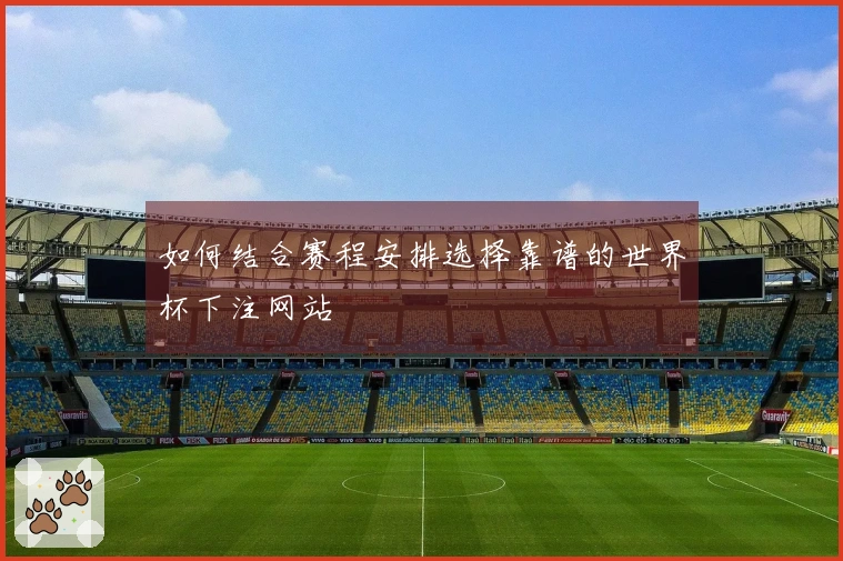 如何结合赛程安排选择靠谱的世界杯下注网站
