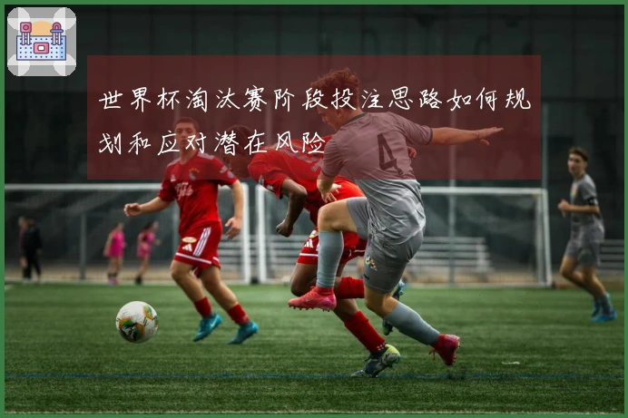 世界杯淘汰赛阶段投注思路如何规划和应对潜在风险