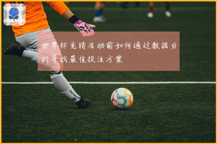 世界杯竞猜活动前如何通过数据分析寻找最佳投注方案